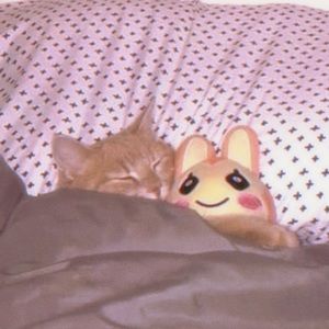 Meet your Posher, Mattea